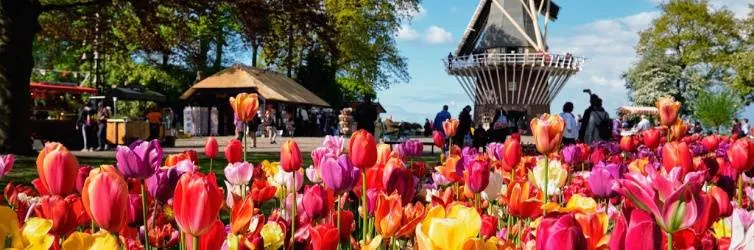 Amsterdam's 5 best one-day road trips